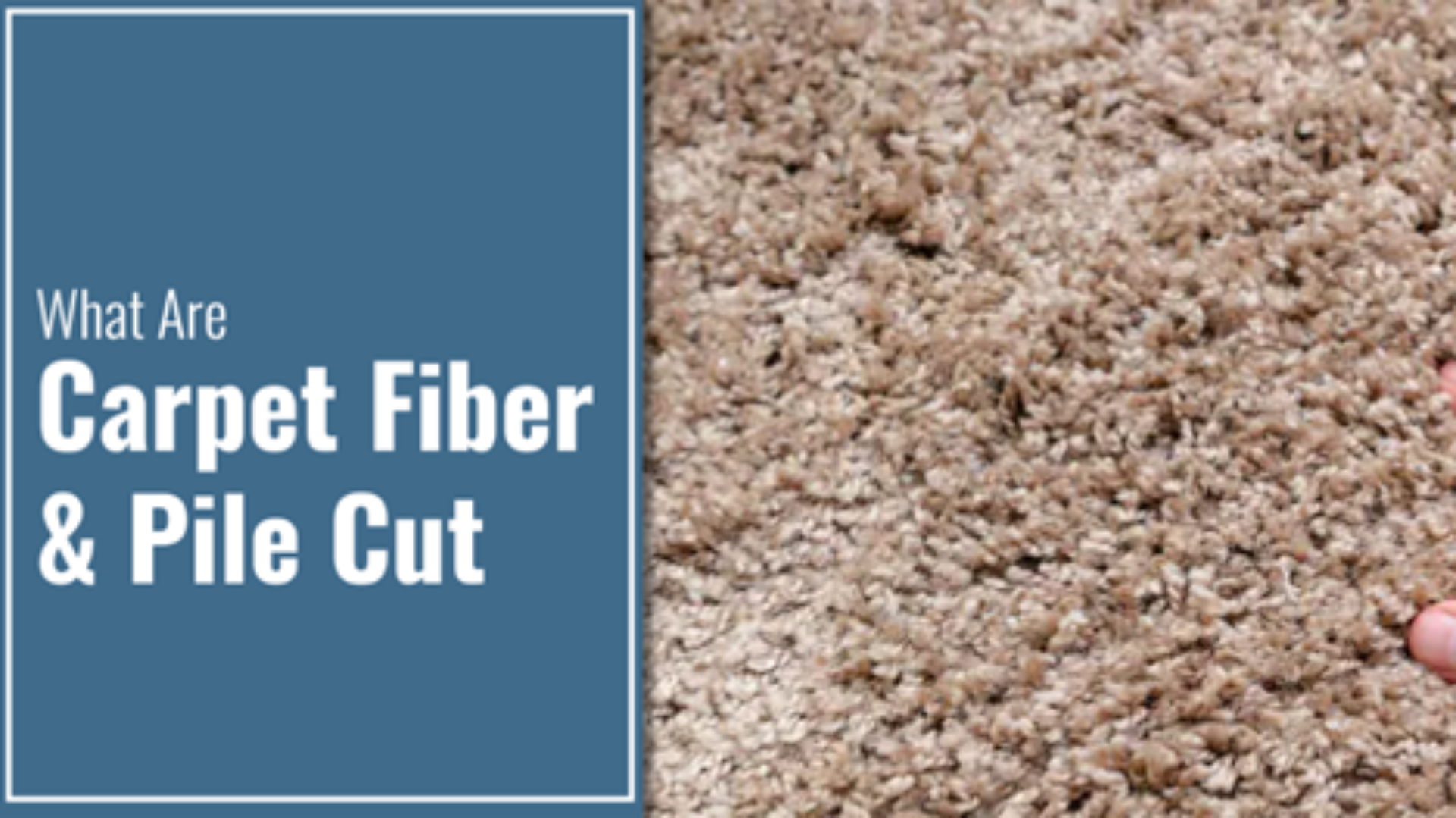 What are Carpet Fiber and Pile Cut? 